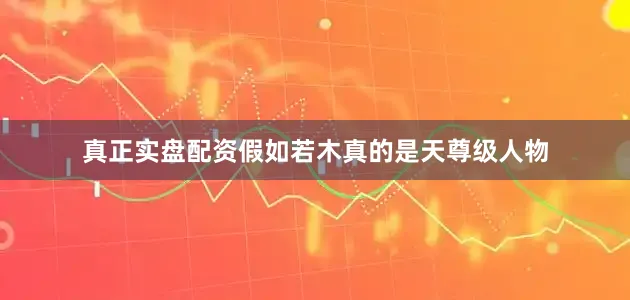 真正实盘配资假如若木真的是天尊级人物